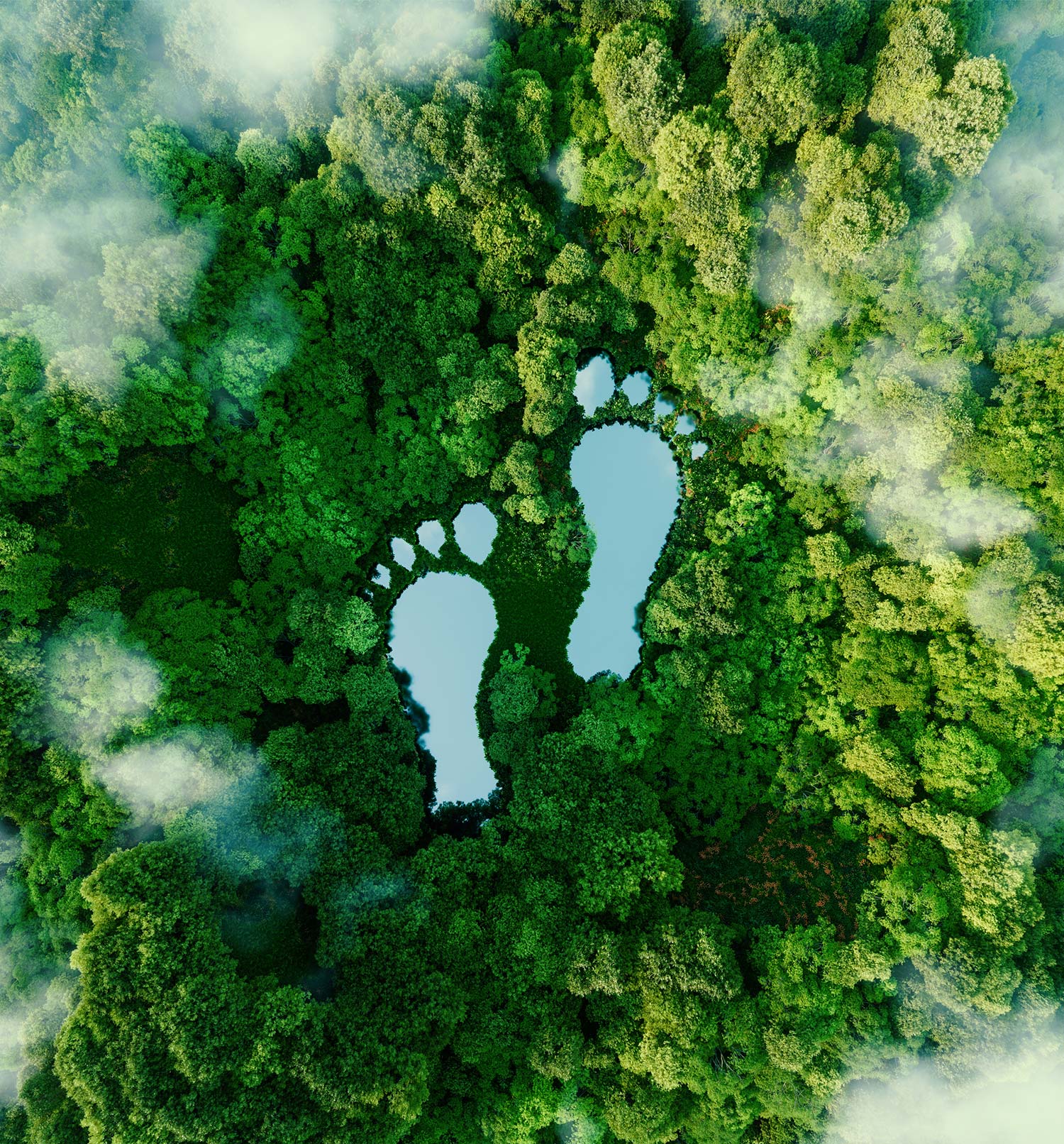 große Fußabdrücke, mit Wasser gefüllt in einem grünen Wald